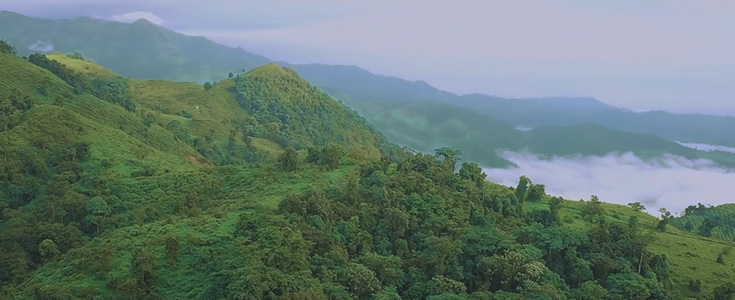 洛阳钼业完成对厄瓜多尔凯歌豪斯金矿100%股权的交割，布局版图新增黄金资源